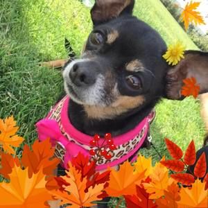 Meet your Posher, Letty